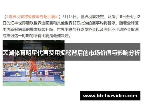 芜湖体育明星代言费用揭秘背后的市场价值与影响分析